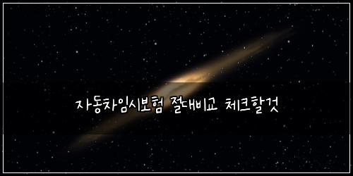 자동차임시보험 절대비교  체크할것