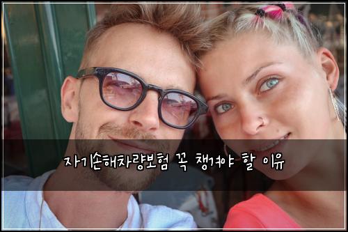 자기손해차량보험 꼭 챙겨야 할 이유