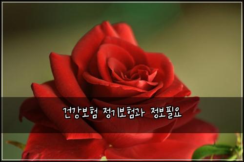 건강보험 정기보험과 정보필요