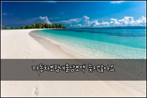 자동차보험대물담보액 늦지않아요