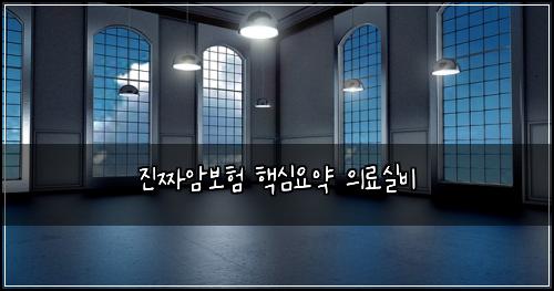 진짜암보험 핵심요약  의료실비