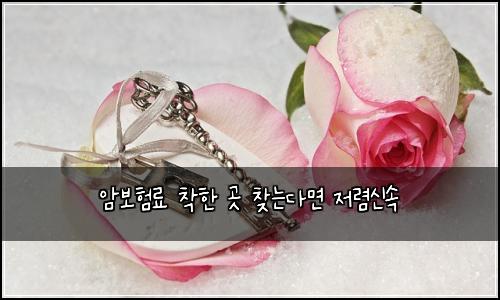 암보험료 착한 곳 찾는다면 저렴신속