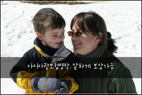 아이사랑보험명작 알차게 보상가능