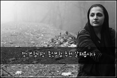 정기보험이랑 종신보험 추천 살펴봅시다