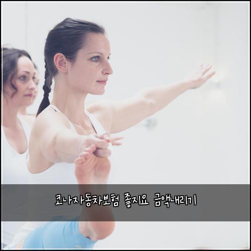 코나자동차보험 좋지요  금액내리기