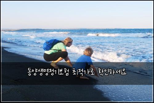 동양생명정기보험 최적가로  확인하세요
