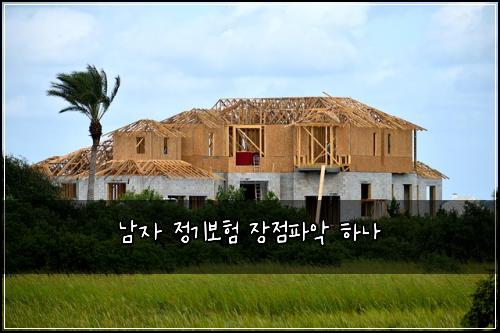 남자 정기보험 장점파악  하나