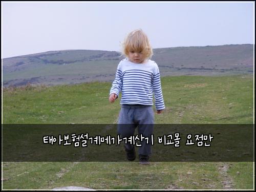 태아보험설계메가계산기 비교몰 요점만