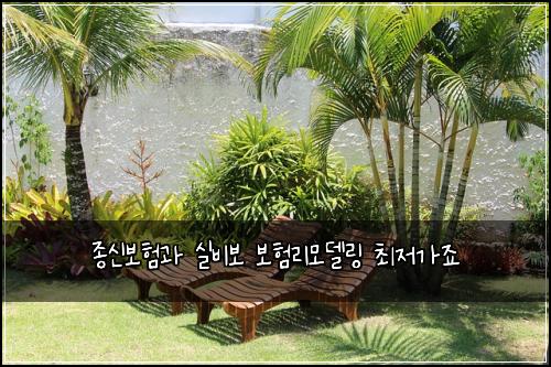์ข
์ ๋ณดํ๊ณผ ์ค๋น๋ณด ๋ณดํ๋ฆฌ๋ชจ๋ธ๋ง ์ต์ ๊ฐ์ฃ
