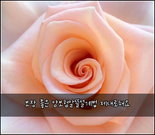 ๋ณด์ฅ ์ข์ ์๋ณดํ์๋ฐ์ค๊ณ๋ฒ ์ ๋๋กํด์