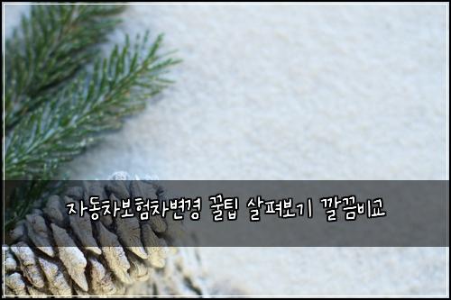 자동차보험차변경 꿀팁 살펴보기 깔끔비교