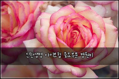 신한생명 아이보험 중요부분  병원비