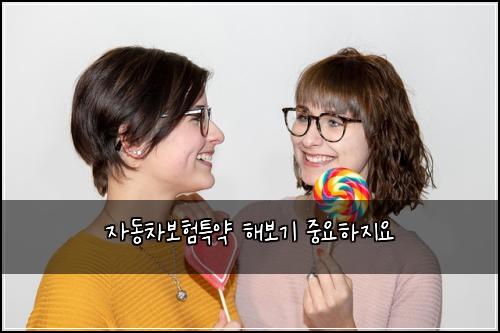 자동차보험특약 해보기 중요하지요