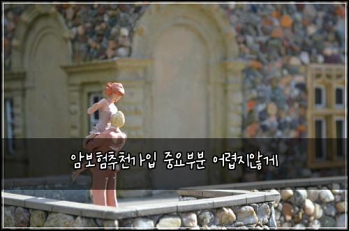 암보험추천가입 중요부분 어렵지않게