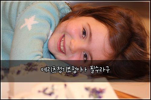 메리츠정기보험이나 필수라구