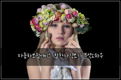 자동차보험서비스 참한가격보기 분석노하우