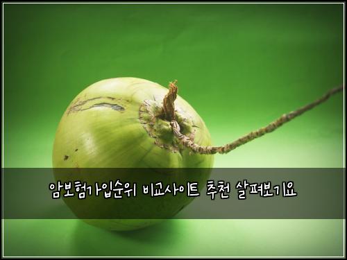 ์๋ณดํ๊ฐ์
์์ ๋น๊ต์ฌ์ดํธ ์ถ์ฒ ์ดํด๋ณด๊ธฐ์
