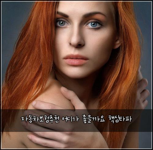 자동차보험추천 어디가 좋을까요 핵심타파