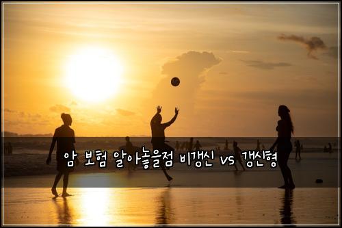 암 보험 알아놓을점  비갱신 vs 갱신형