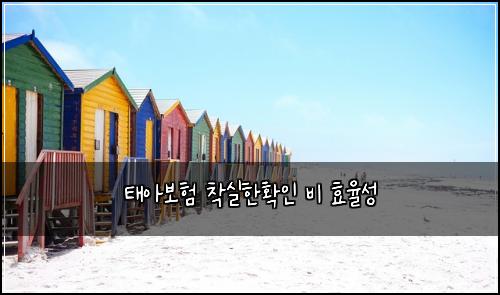 태아보험 착실한확인  비 효율성
