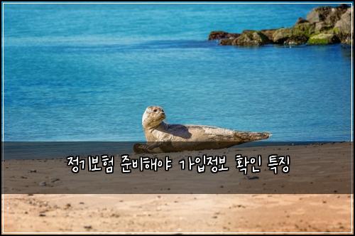 정기보험 준비해야  가입정보 확인 특징