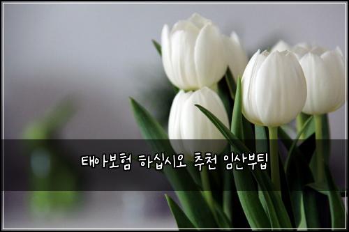 ํ์๋ณดํ ํ์ญ์์ค ์ถ์ฒ ์์ฐ๋ถํ