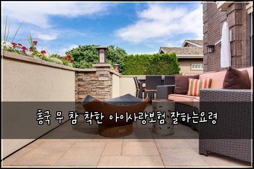 흥국 무 참 착한 아이사랑보험 잘하는요령 