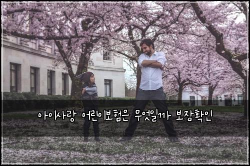 아이사랑 어린이보험은 무엇일까 보장확인