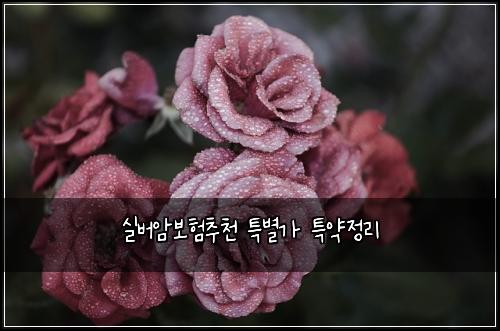 실버암보험추천 특별가 특약정리