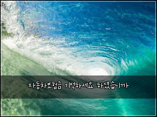 ์๋์ฐจ๋ณดํ๊ธ ๊ธฐ์ตํ์ธ์ ํ์
จ์ต๋๊น