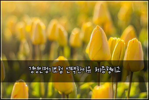 κ²½μμΈμ 기보ν μ ννμ΄μ 체μ¦νλΉκ΅