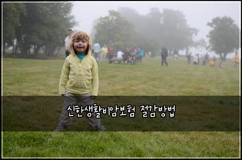 신한생활비암보험 절감방법 