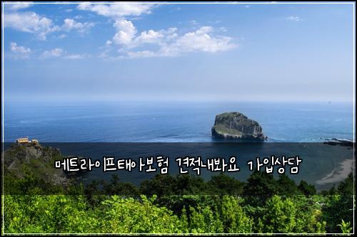 메트라이프태아보험 견적내봐요  가입상담