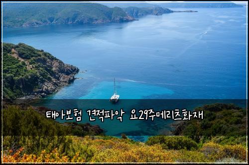 ํ์๋ณดํ ๊ฒฌ์ ํ์
์29์ฃผ๋ฉ๋ฆฌ์ธ ํ์ฌ