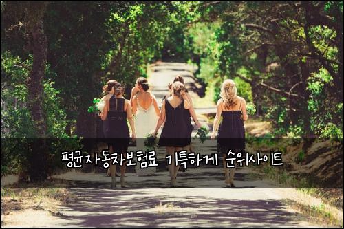 평균자동차보험료 기특하게 순위사이트
