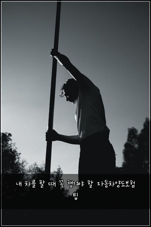 내 차를 팔 때 꼭 챙겨야 할 자동차양도보험 팁