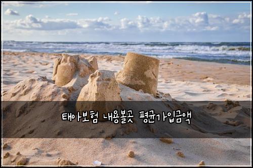 태아보험 내용볼곳  평균가입금액