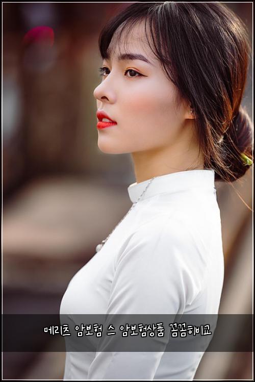 메리츠 암보험 스 암보험상품 꼼꼼히비교