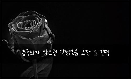 흥국화재 암보험 걱정없음  보장 및 견적