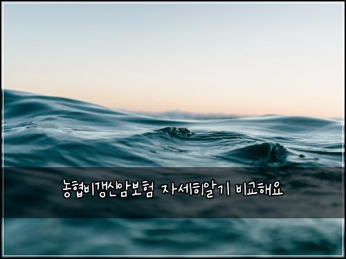농협비갱신암보험 자세히알기  비교해요