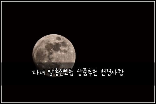 자녀 암종신보험 상품추천  변경사항