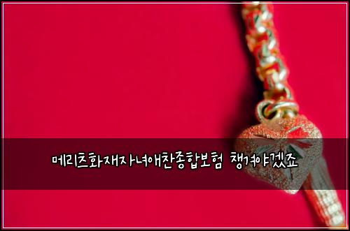 메리츠화재자녀애찬종합보험 챙겨야겠죠 