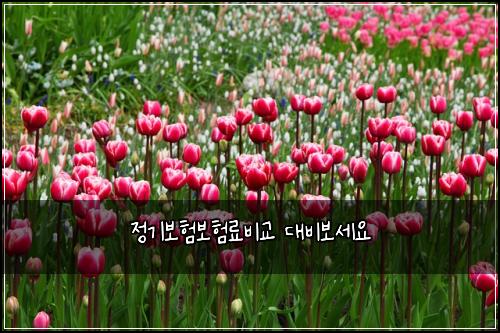 ์ ๊ธฐ๋ณดํ๋ณดํ๋ฃ๋น๊ต ๋๋น๋ณด์ธ์