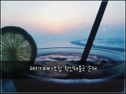 ํจํค์งํ์๋ณดํ ํ์ธํด๋ณผ๊ณณ ์ํด