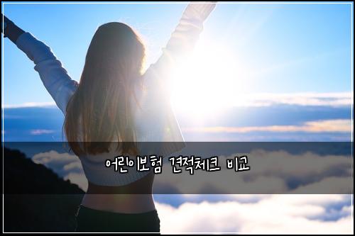 ์ด๋ฆฐ์ด๋ณดํ ๊ฒฌ์ ์ฒดํฌ ๋น๊ต