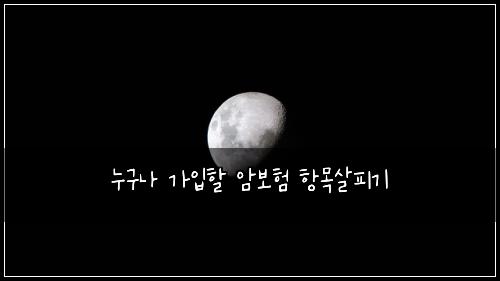 누구나 가입할 암보험 항목살피기 