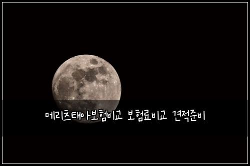 ๋ฉ๋ฆฌ์ธ ํ์๋ณดํ๋น๊ต ๋ณดํ๋ฃ๋น๊ต ๊ฒฌ์ ์ค๋น