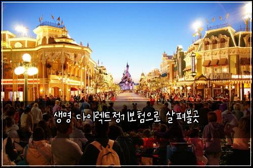 생명 다이렉트정기보험으로 살펴볼곳