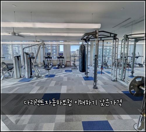 ๋ค๋ฆฌ๋ ํธ์๋์ฐจ๋ณดํ ์ดํดํ๊ธฐ ๋ฎ์๊ฐ๊ฒฉ
