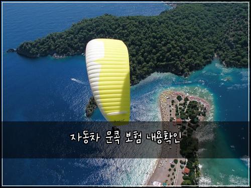자동차 문콕 보험 내용확인 